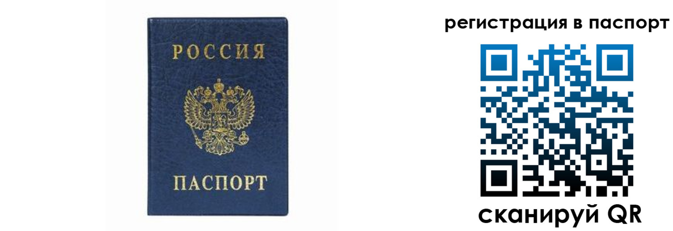 форма 3 в Новгородской области